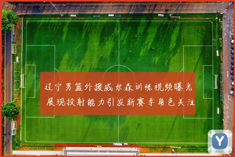 辽宁男篮外援威尔森训练视频曝光 展现投射能力引发新赛季角色关注