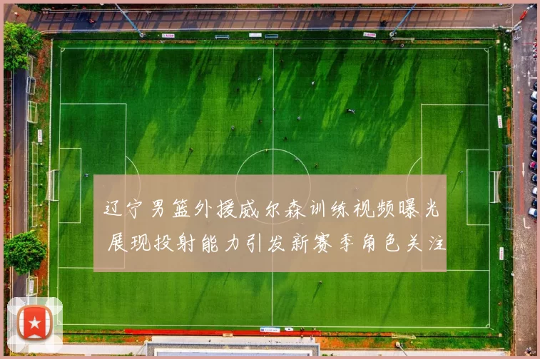 辽宁男篮外援威尔森训练视频曝光 展现投射能力引发新赛季角色关注