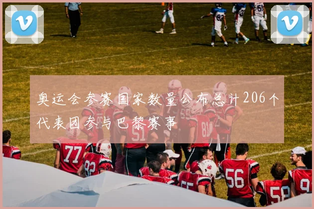 奥运会参赛国家数量公布总计206个代表团参与巴黎赛事