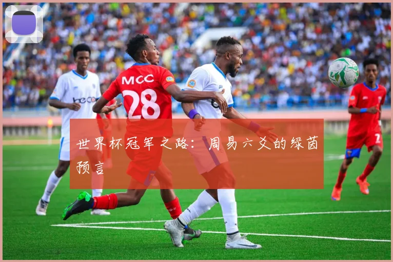 世界杯冠军之路：周易六爻的绿茵预言