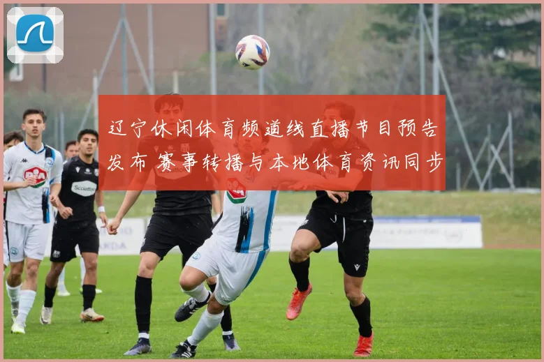 辽宁休闲体育频道线直播节目预告发布 赛事转播与本地体育资讯同步更新