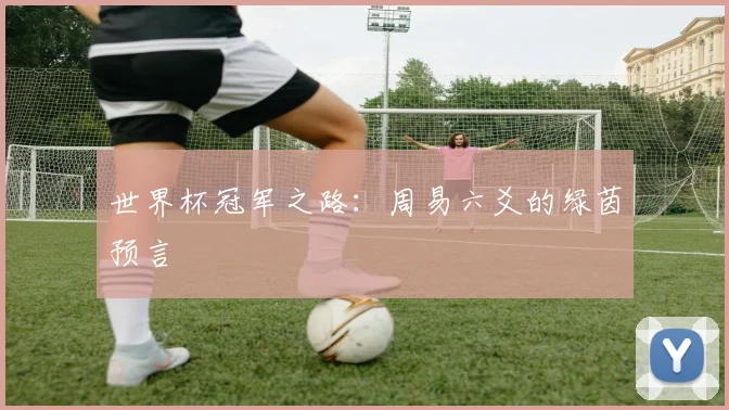 世界杯冠军之路：周易六爻的绿茵预言