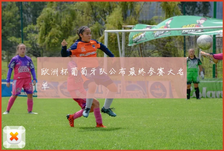 欧洲杯葡萄牙队公布最终参赛大名单