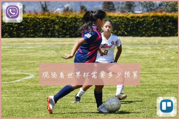 现场看世界杯需要多少预算